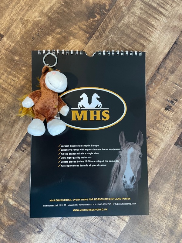 MHS kalender en sleutelhanger met geluid