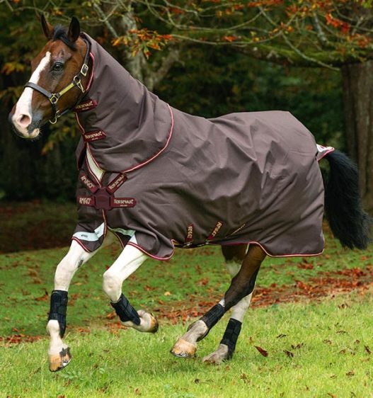 Horseware Products LTD Amigo Bravo12 PlusT/O 100g Front Disc Closure Horseware Products LTD Amigo Bravo12 PlusT/O 100g Front Disc Closure