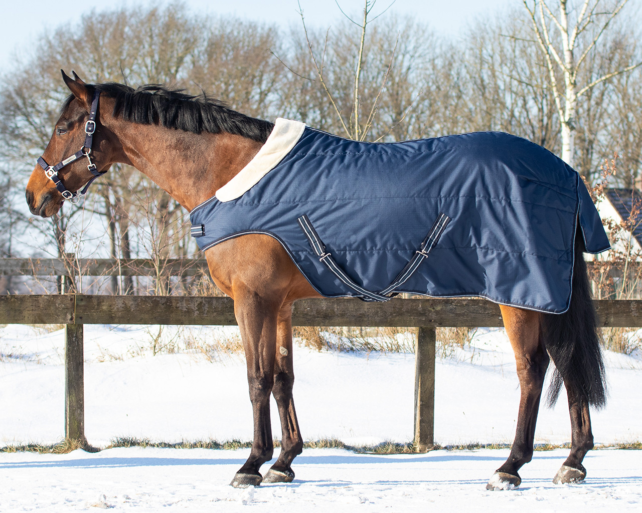 QHP Staldeken 200gr met schouderuitsparing QHP Staldeken 200gr met schouderuitsparing