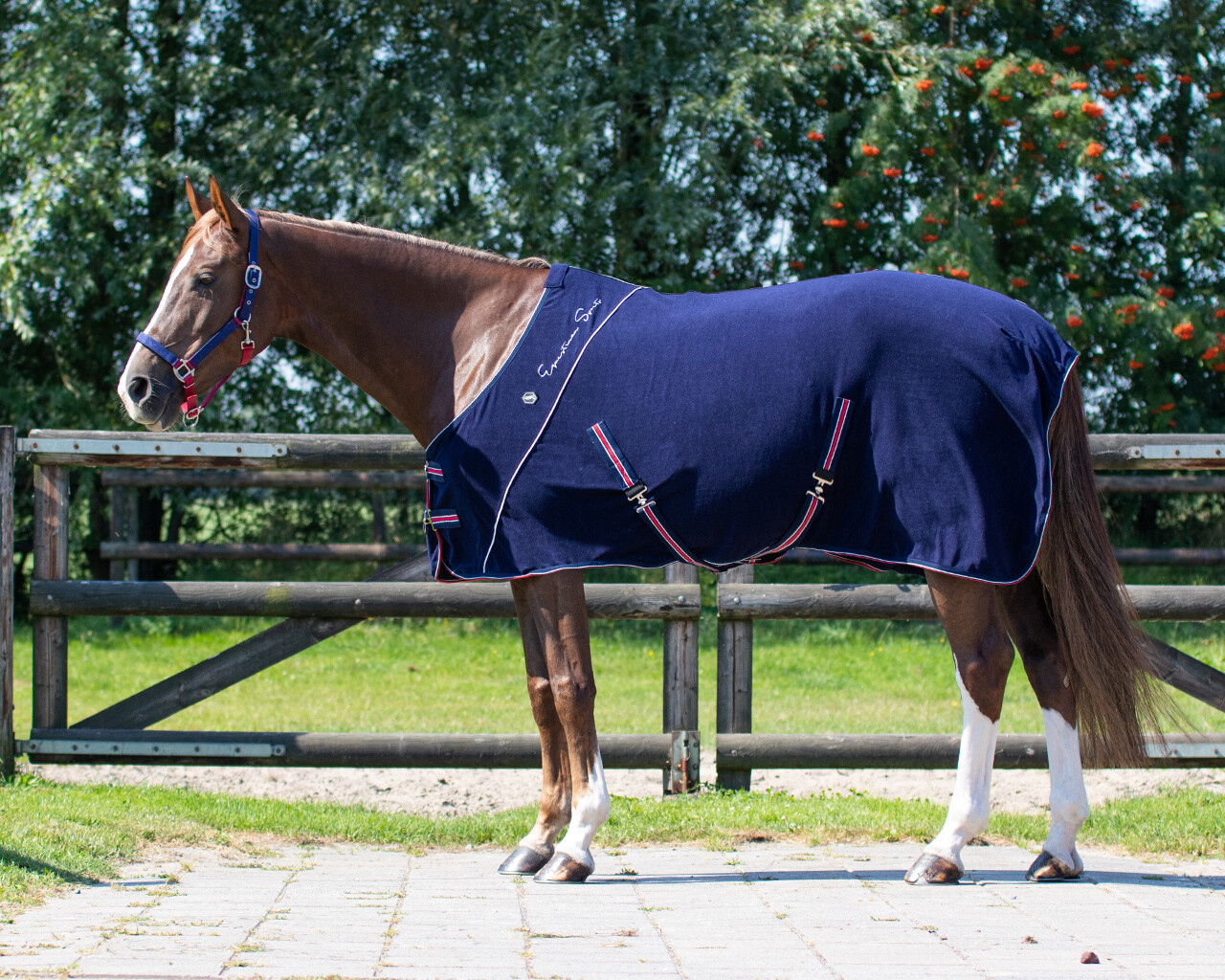 QHP Deken microfibre collection QHP Deken microfibre collection