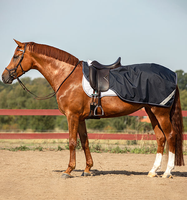 Horseware Products LTD Amigo Ripstop Comp Sheet Horseware Products LTD Amigo Ripstop Comp Sheet