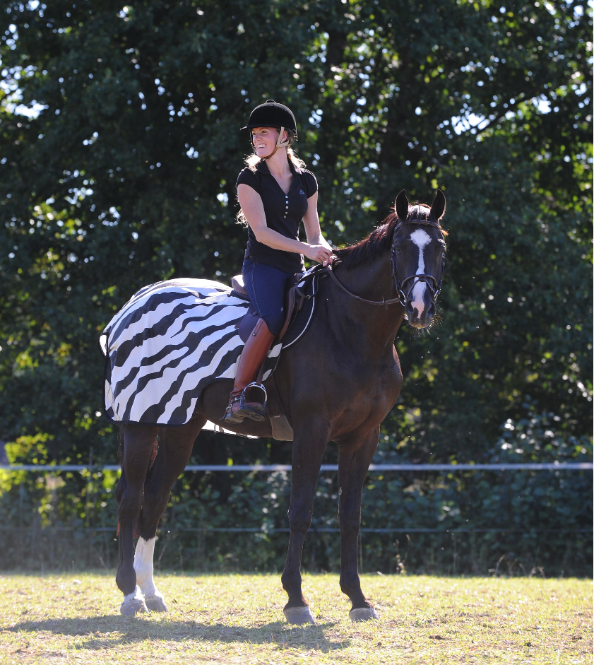 Bucas Riding-Rug-Zebra