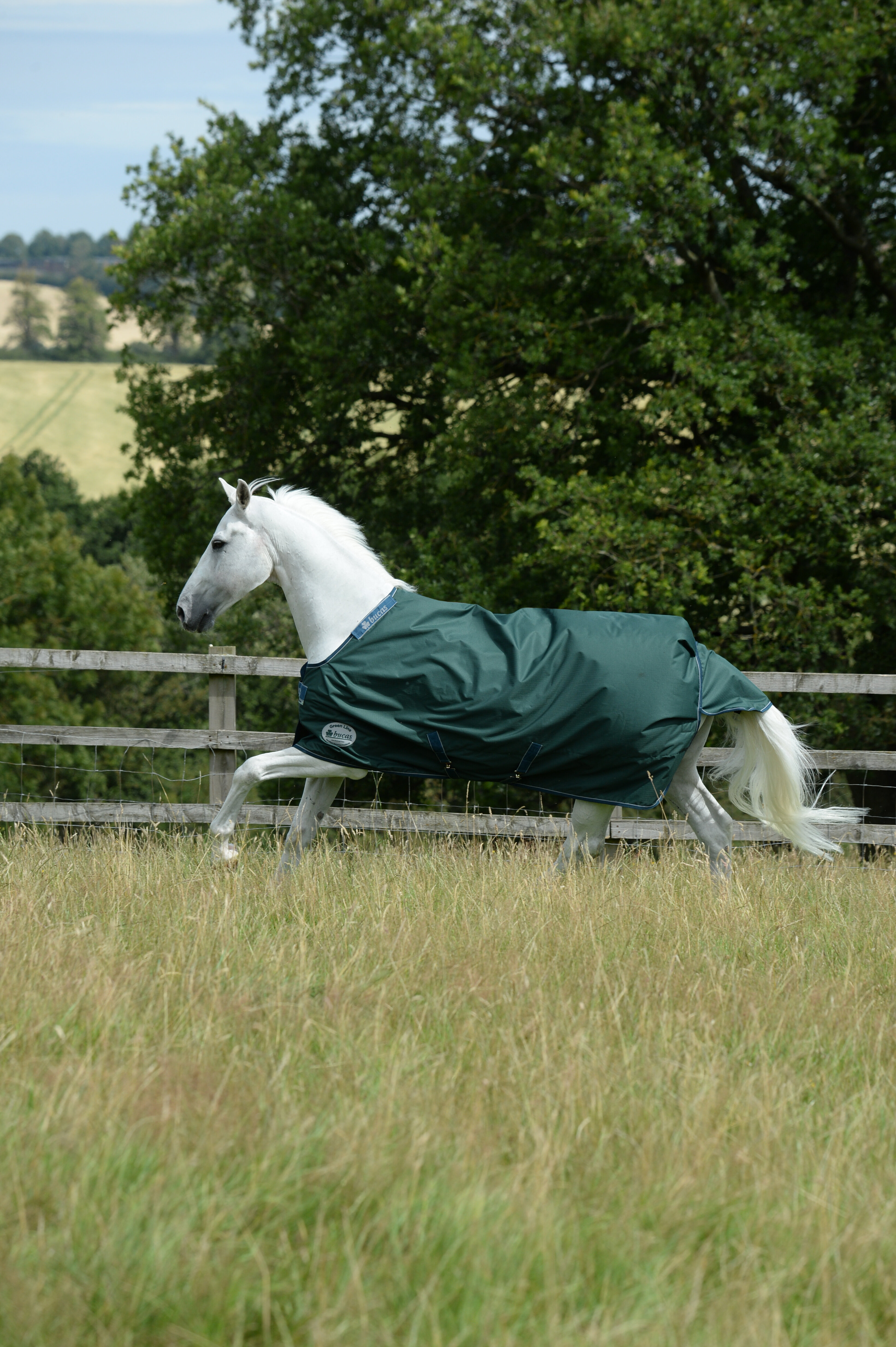 Bucas Green-Line Turnout 300g Bucas Green-Line Turnout 300g