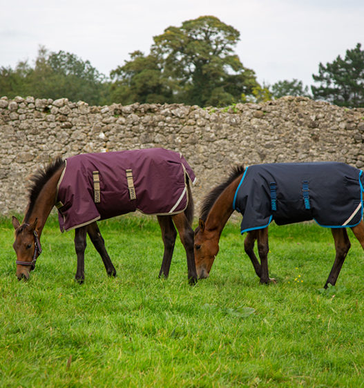 Horseware Products LTD Amigo Foal Rug 200g Ripstop Horseware Products LTD Amigo Foal Rug 200g Ripstop