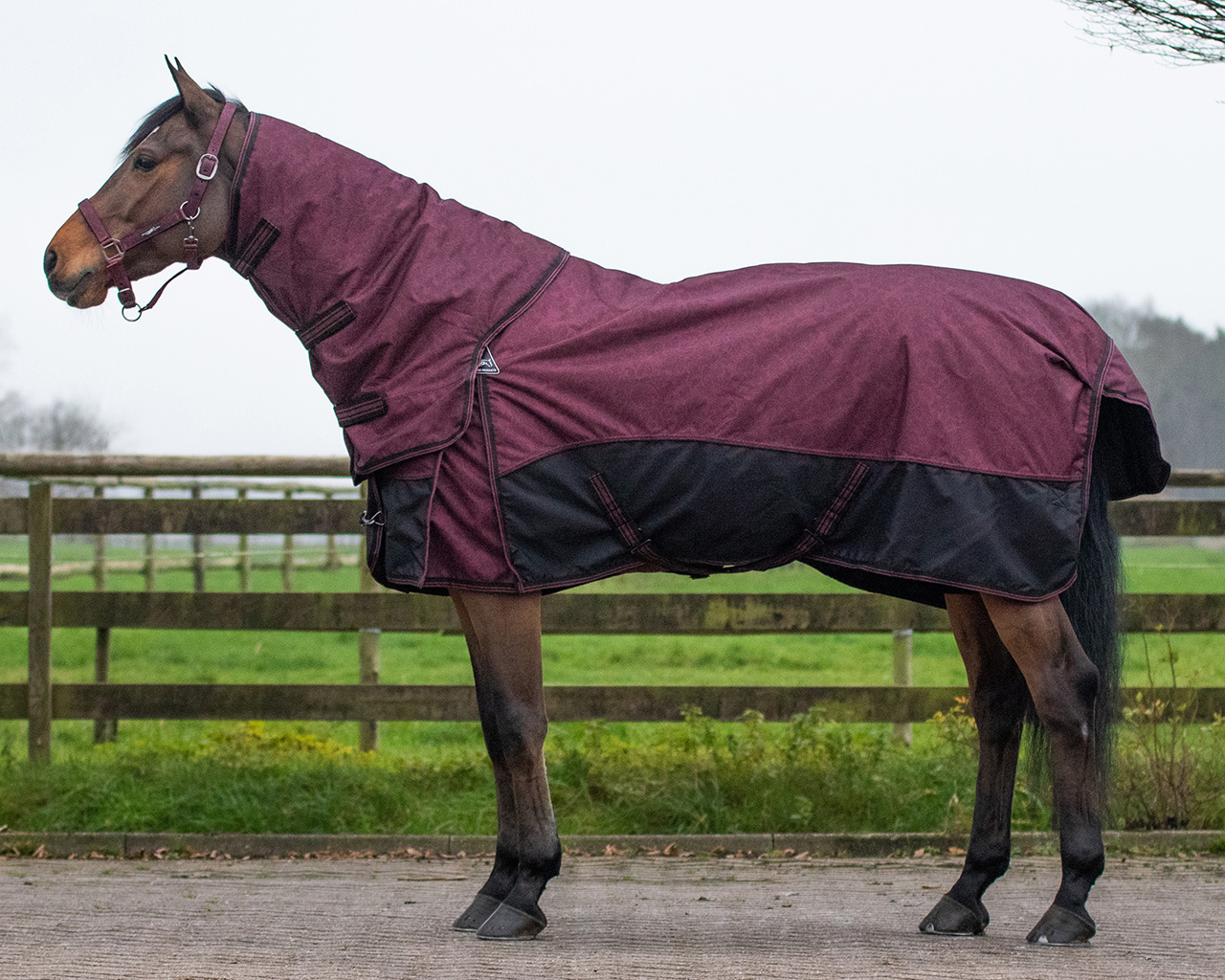 QHP Deken turnout collection 150 gram afneembare hals QHP Deken turnout collection 150 gram afneembare hals