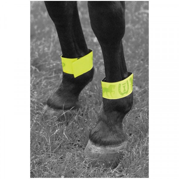 Imperial Riding Reflective bandage met klittenband 33cm