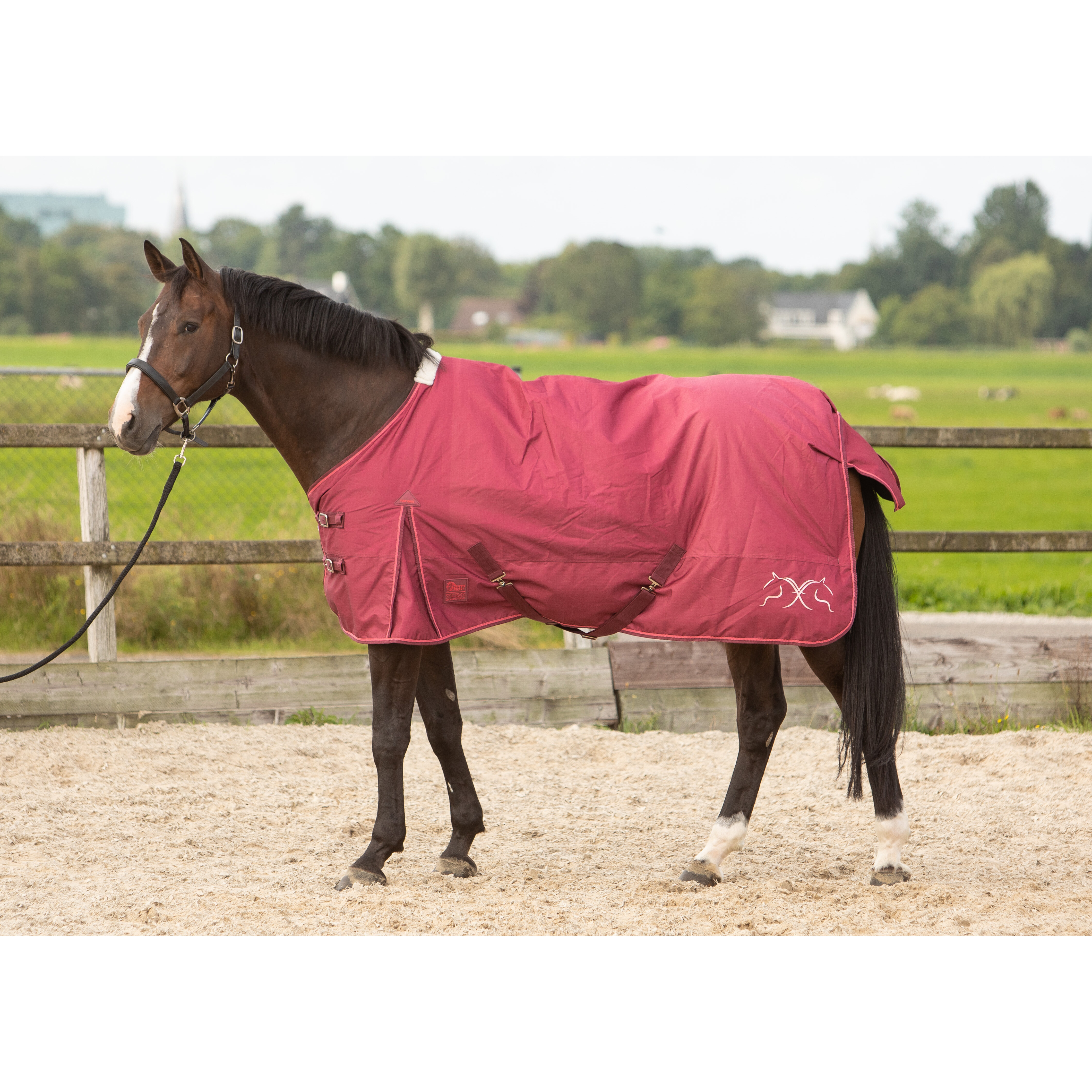 Harry's Horse Regendeken 0gr Thor fleece Harry's Horse Regendeken 0gr Thor fleece