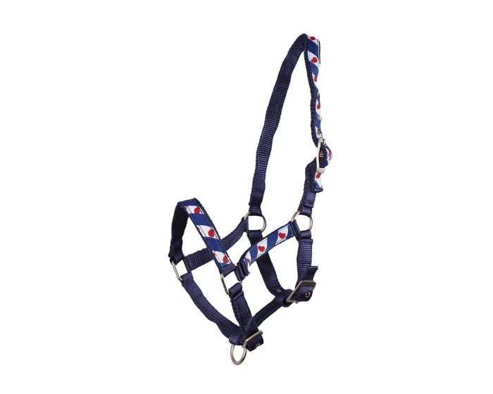QHP Halster Veulen Fries Ongevoerd main product photo