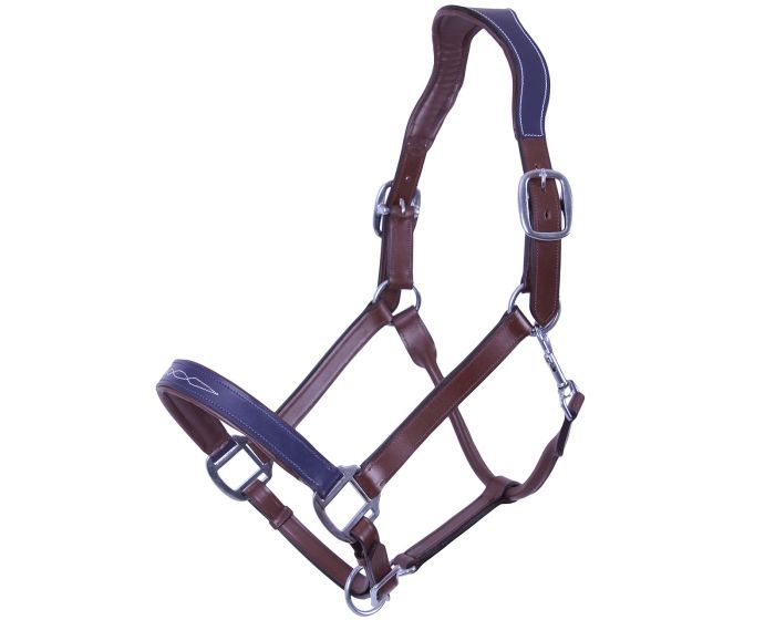 QHP Halster Shiva main product photo