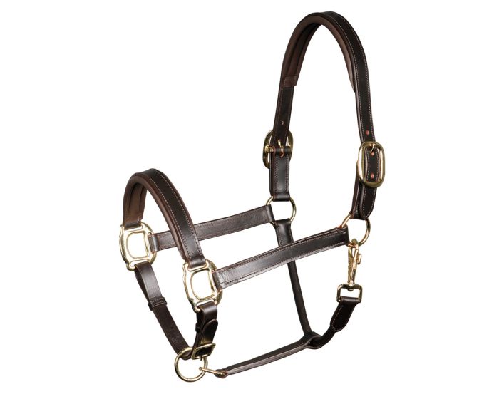 Harry's Horse Halster leder, padded main product photo