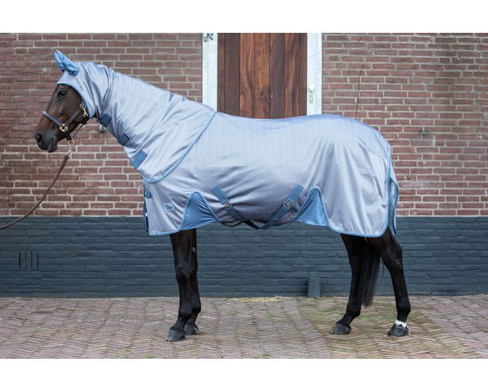 beton vertalen Slechte factor Bestel Harry's Horse Vliegendeken mesh Reflective met losse hals voor 0 bij MHS Ruitersport! beton vertalen Slechte factor Bestel Harry's Horse Vliegendeken mesh Reflective met losse hals voor 0 bij MHS Ruitersport!
