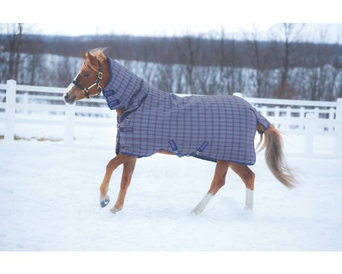 Horseware Rhino Pony All In One main product photo