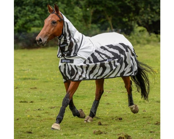 Bucas Buzz-off Rain Zebra main product photo