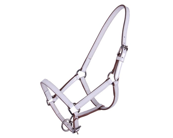 QHP Halster veulen leer main product photo
