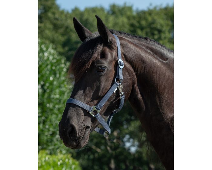 QHP Halster schuif main product photo