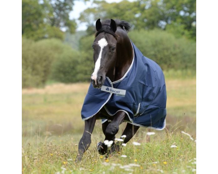Bucas Freedom Turnout Light main product photo