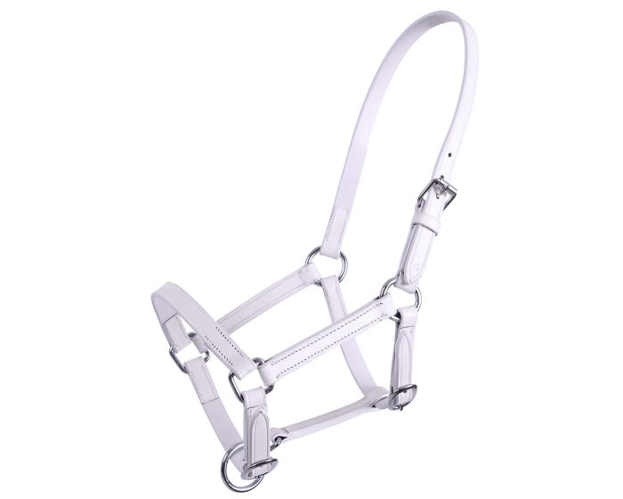 QHP Halster leer chico main product photo