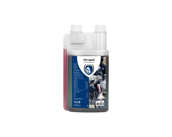 Excellent Vit Liquid Multivitamine main product photo