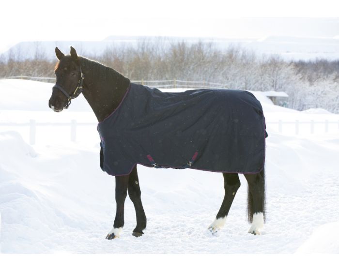 betalen wedstrijd Wonder Bestel Horseware Amigo Bravo 12 XL Heavy 400g voor 110.97 bij MHS  Ruitersport!