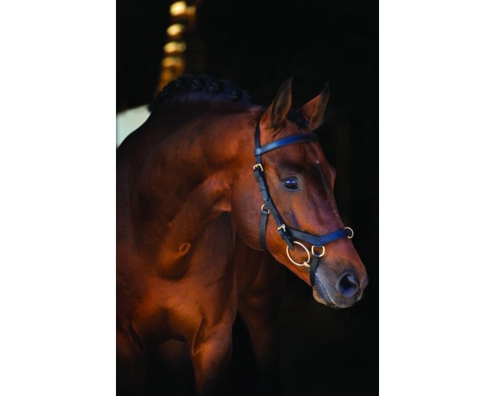 Micklem multibridle top