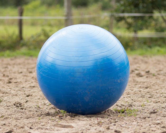 QHP Paardenvoetbal main product photo