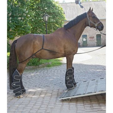 Waldhausen Hulp bij het laden
