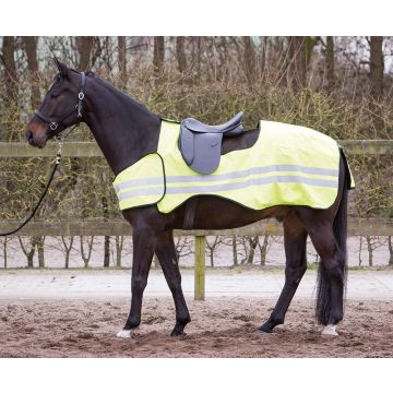 Harry's Horse Uitrijdeken Reflective L Kleurloos