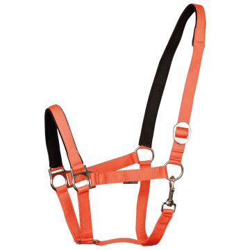 Harry's Horse Halster padded