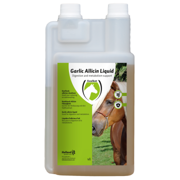 Excellent Garlic Allicin Liquid EU (Knoflook vloeibaar)