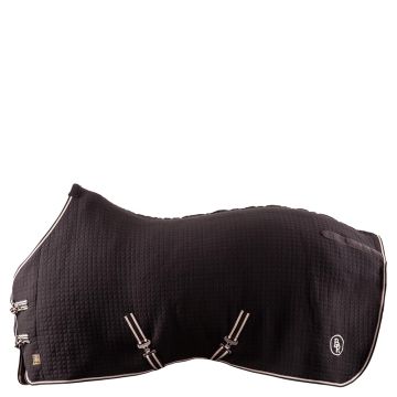 BR Thermo Cooler Classic Breeze II