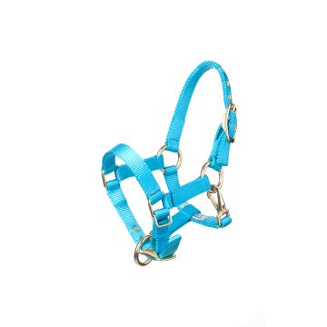 MHS Halster Fancy Aqua Veulen