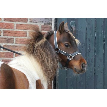 MHS Leren Halster "Two Tone" Mini Jaarling Zwart / Wit