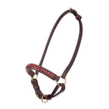 MHS Showhalster Mon Cherie Bruin/Rood mini veulen (mt 1)
