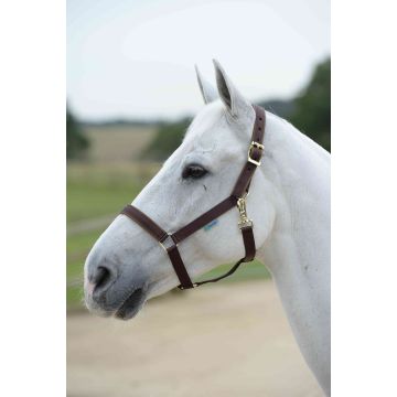 Bucas Halter Dublin Pony Bruin