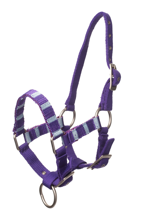 QHP Halster Stripe QHP Halster Stripe