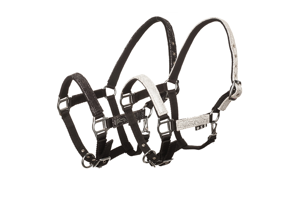 MHS Halter Glitter MHS Halter Glitter