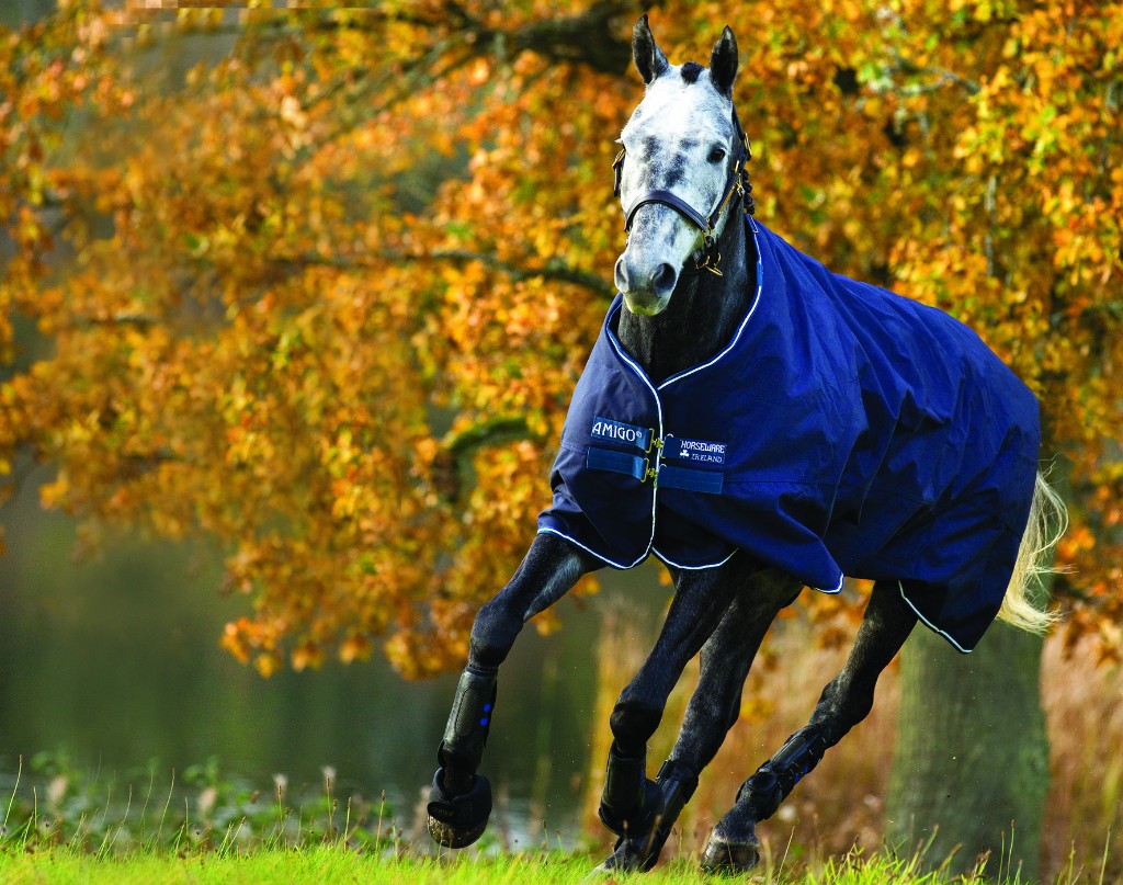 Horseware Amigo Bravo 12 Original (0g Lite) Horseware Amigo Bravo 12 Original (0g Lite)