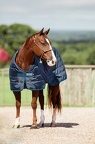Horseware Liner Medium 200g Horseware Liner Medium 200g
