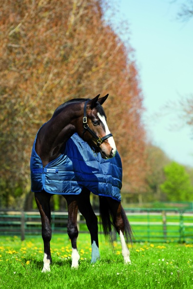 Horseware Liner Heavy 400g Horseware Liner Heavy 400g