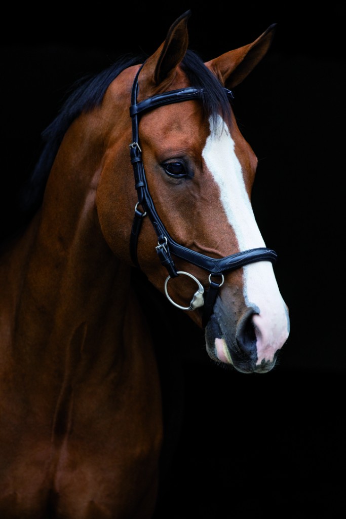 Horseware Micklem Deluxe Competition English Leather Horseware Micklem Deluxe Competition English Leather