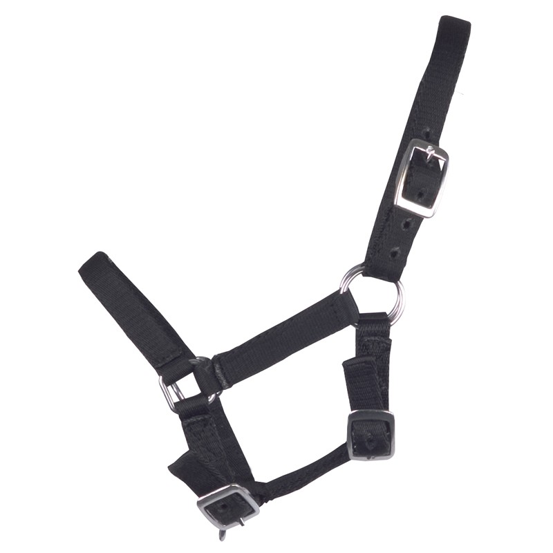 Imperial Riding Halster nylon veulen met gespen Imperial Riding Halster nylon veulen met gespen