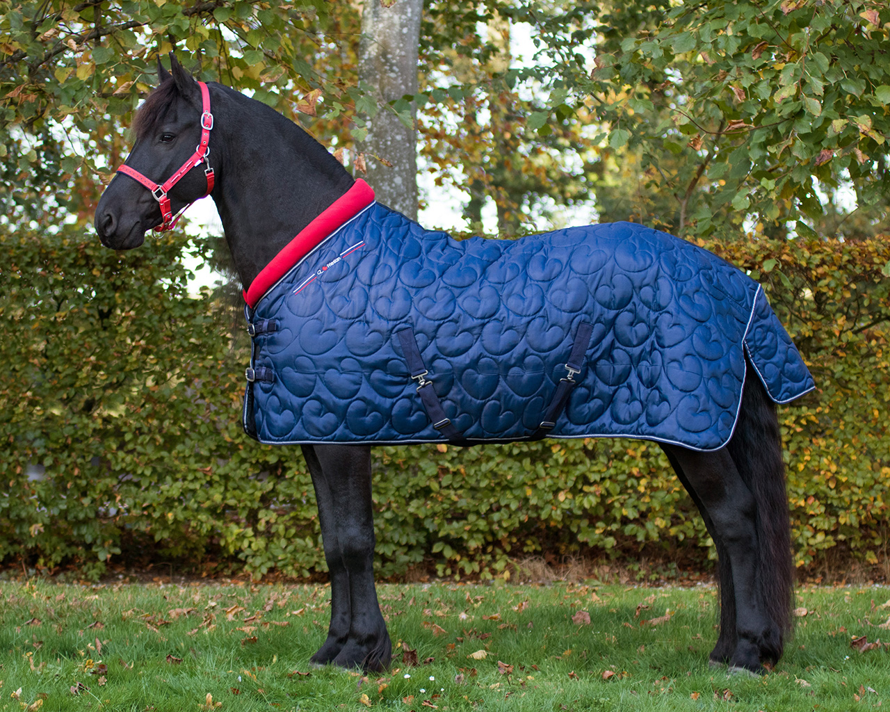 QHP Staldeken Q Friesian 250gr QHP Staldeken Q Friesian 250gr