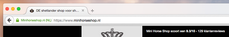 https MHS via Firefox