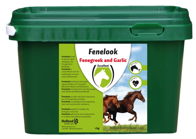 Afbeelding Fenelook knoflook door Minihorseshop.nl