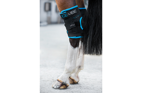 Afbeelding Horseware Ice-Vibe Hock Wrap NEW Zwart Full door Minihorseshop.nl